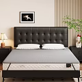 Gray Mattress In Bedroom With Black Tufted Headboard White Pillows Bedside Lamp And Green Plant