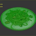Delicious Spaghetti Tossed With Fresh Mushrooms And Green Onions On White Plate