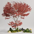 Natural Garden Ornament with Red Leaved Tree Stones Moss and Mushrooms