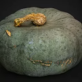 Fresh Green Pumpkin with Textured Skin and Golden Stem on Dark Background