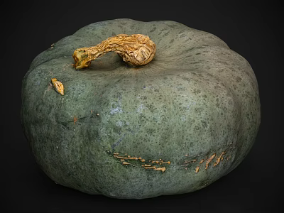 Fresh Green Pumpkin with Textured Skin and Golden Stem on Dark Background 3d model