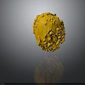 Yellow Fruit With Bumpy Surface And Round Shape On Dark Background