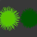 Ornamental Grasses Decorative Plant Arrangement for Outdoor Garden with Green Lawn and Black Wall