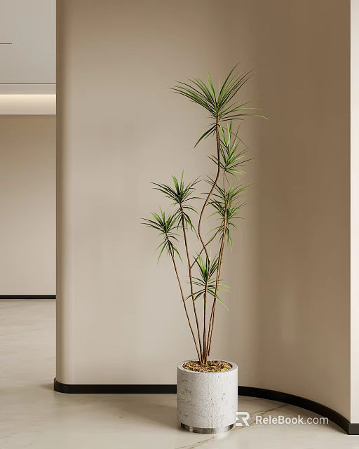 Potted Bonsai Plant Indoor Modern Interior With Slender Stems Green Leaves Wall Side 3d model 