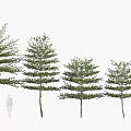 Arbor Display in Various Heights With Human Silhouette for Landscaping Design 3d model