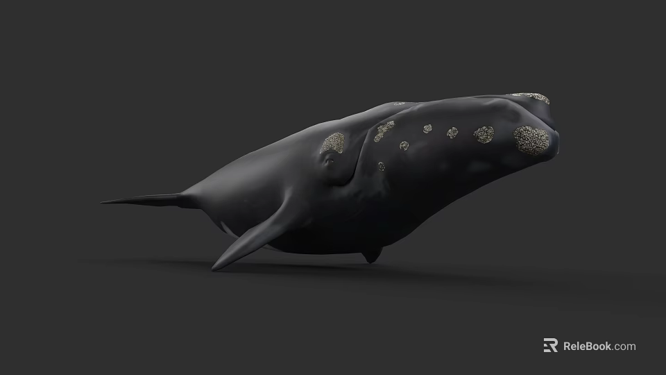 Detailed Realistic Black Whale With Golden Spots On Its Body 3d model 
