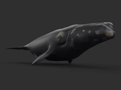 Detailed Realistic Black Whale With Golden Spots On Its Body 3d model