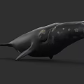 Detailed Realistic Black Whale With Golden Spots On Its Body