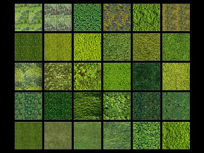 Green Plant Wall Design With Various Textures And Decorative Foliage Patterns 3d model