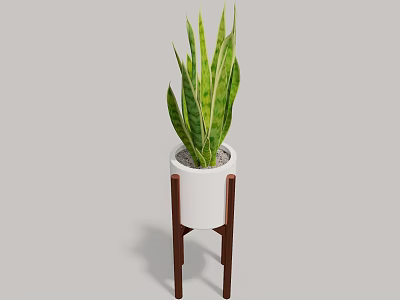 Indoor Decorative Potted Snake Plant In White Pot With Wooden Stand 3d model