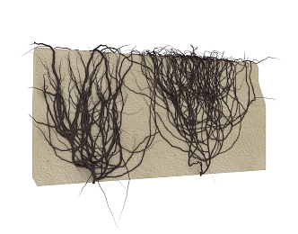 Modern Vine 3d model