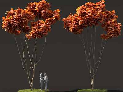 Tall Trees With Orange Red Leaves And Two Figures Standing Underneath 3d model
