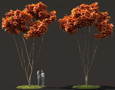 Tall Trees With Orange Red Leaves And Two Figures Standing Underneath 3d model