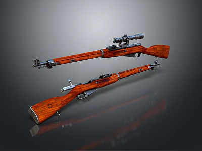 Two Bolt Action Rifles with Wooden Stock One with Sniper Scope Display on Reflective Surface 3d model