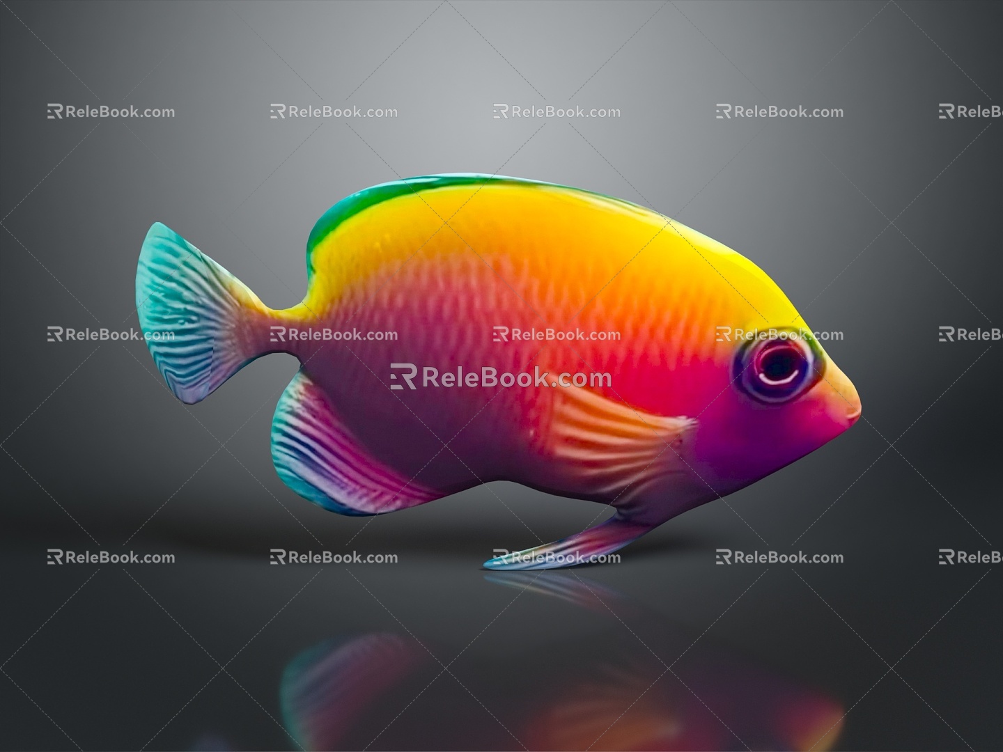 Tropical Fish Colorful Fish Ornamental Fish Aquarium Coral Fish Underwater Fish Color Fish Cartoon Fish Freshwater Fish 3d model