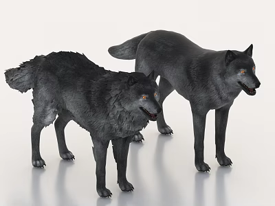 Wolf Wolf Wolf Dog 3d model Wolf Wolf Wolf Dog 3d model