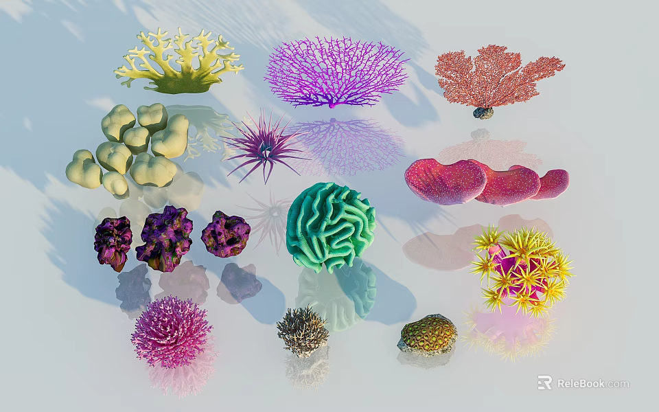 Colorful Diverse Flowers And Plants With Various Shapes And Bright Hues 3d model 