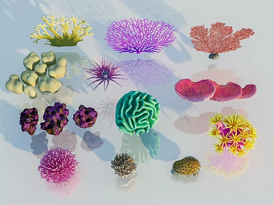 Colorful Diverse Flowers And Plants With Various Shapes And Bright Hues 3d model