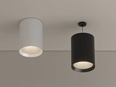 Modern Ceiling Downlight Spotlight with White and Black Cylindrical Design for Interior Lighting 3d model