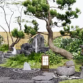 Japanese Courtyard Garden With Wooden Structures Stone Arrangement Pine Trees and Lanterns