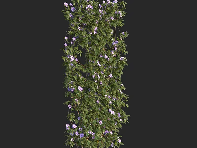 Climbing Vine With Lush Green Leaves And Purple Flowers In Vertical Growth 3d model