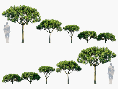 The Modern Tree 3d model