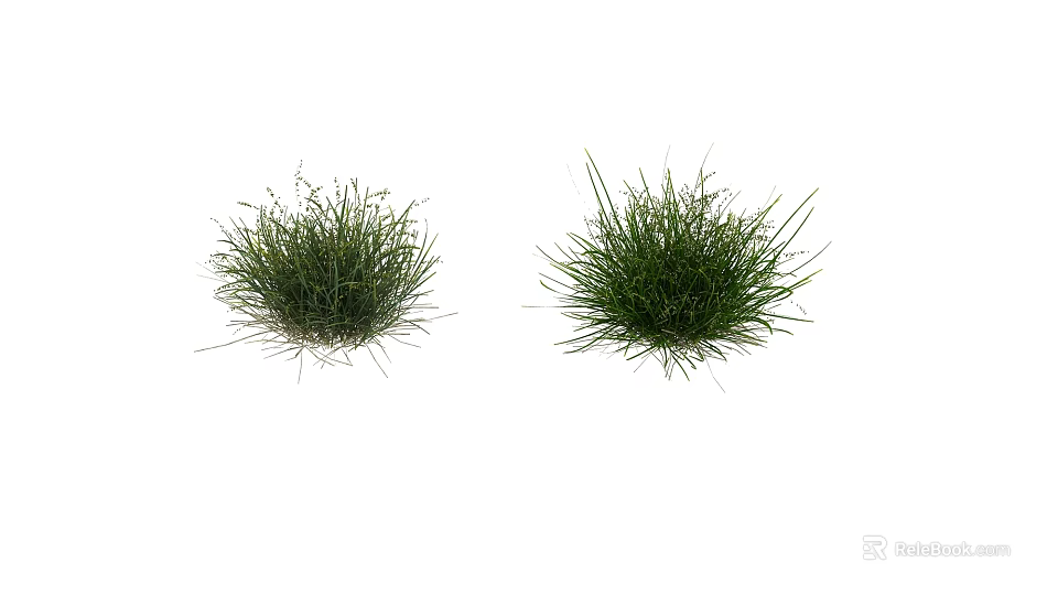 Fresh Green Grass Clumps With Lush Foliage Isolated On White Background 3d model 