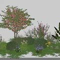 Lush Green Shrubs With Pink Purple Yellow Flowers And Tropical Leaves