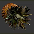 Fresh Ripe Pineapple With Vibrant Orange Skin Green Leaves On Dark Surface