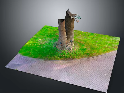 Rustic Wooden Stump Surrounded by Lush Green Grass and Stone Paving 3d model