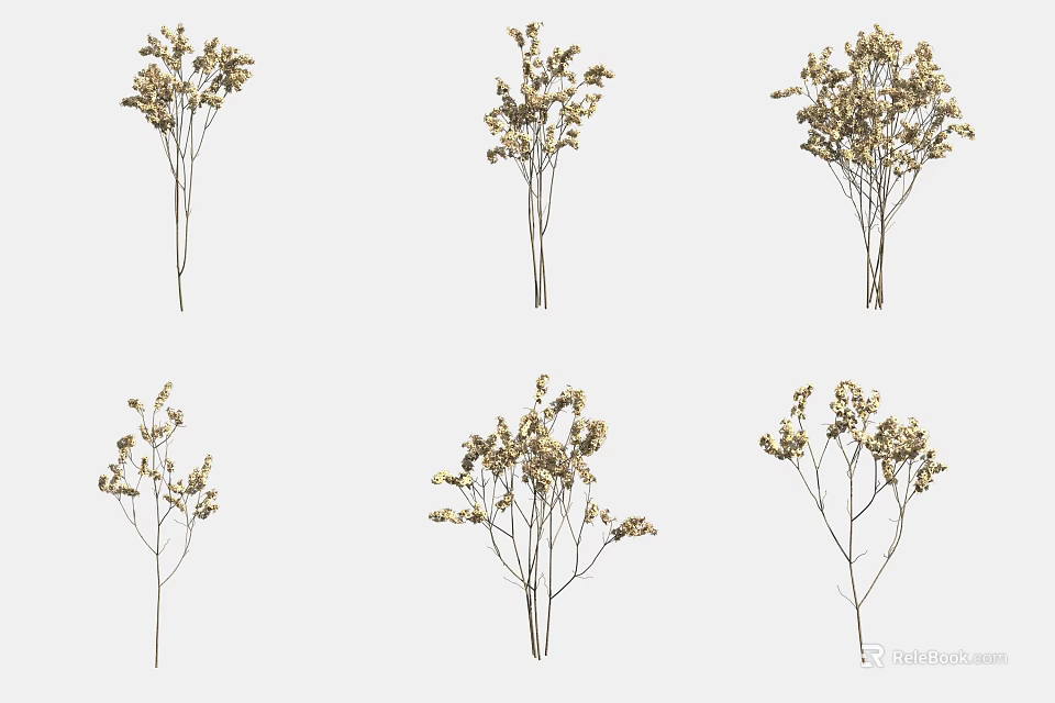 Decorative Natural Dried Flower Bouquets With Thin Stems And Small Blooms 3d model