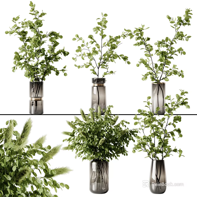Multiple Glass Vases with Various Green Plants and Lush Foliage for Interior Decoration 3d model 