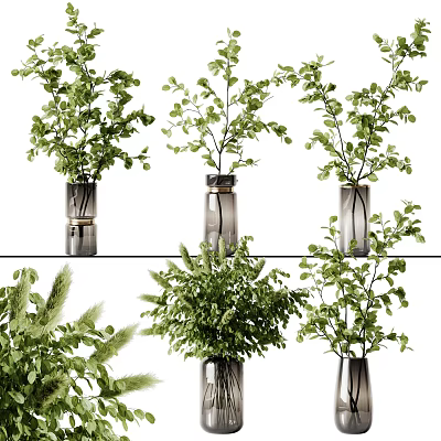 Multiple Glass Vases with Various Green Plants and Lush Foliage for Interior Decoration 3d model