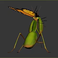 Green Mantis Preying On Orange Black Butterfly With Reflection On Dark Surface 3d model