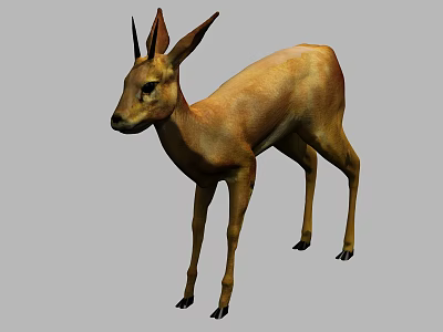 Realistic 3D Antelope Model with Brown Yellow Fur and Long Ears Standing 3d model