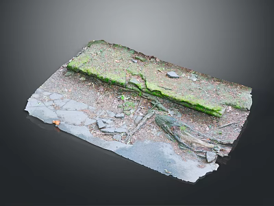 Moss Covered Stone Slab With Dirt And Exposed Tree Roots On Ground 3d model