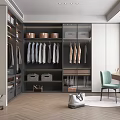 Modern Walk in Closet Interior Design With Hanging Clothes Storage Boxes And Mirror