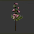 Elegant Pink Floral Arrangement With Green Leaves And Decorative Stem Design