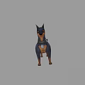 Game Movie Character Doberman Wearing Collar Badge Red Eyes And Erect Ears