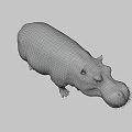 Realistic Hippopotamus 3D Model With Grey Skin And Standing Pose