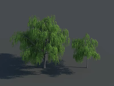 Two Weeping Willow Trees With Green Hanging Branches And Shadows On Gray Background 3d model