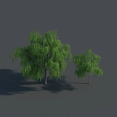 Two Weeping Willow Trees With Green Hanging Branches And Shadows On Gray Background 3d model