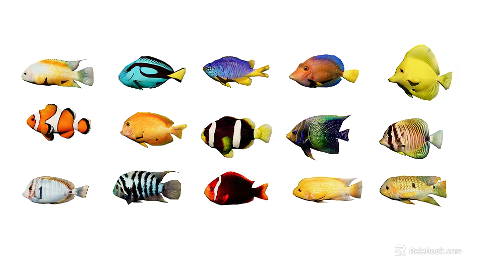 Types of Colorful Tropical Aquatic Animals With Vibrant Patterns And Bright Hues 3d model 
