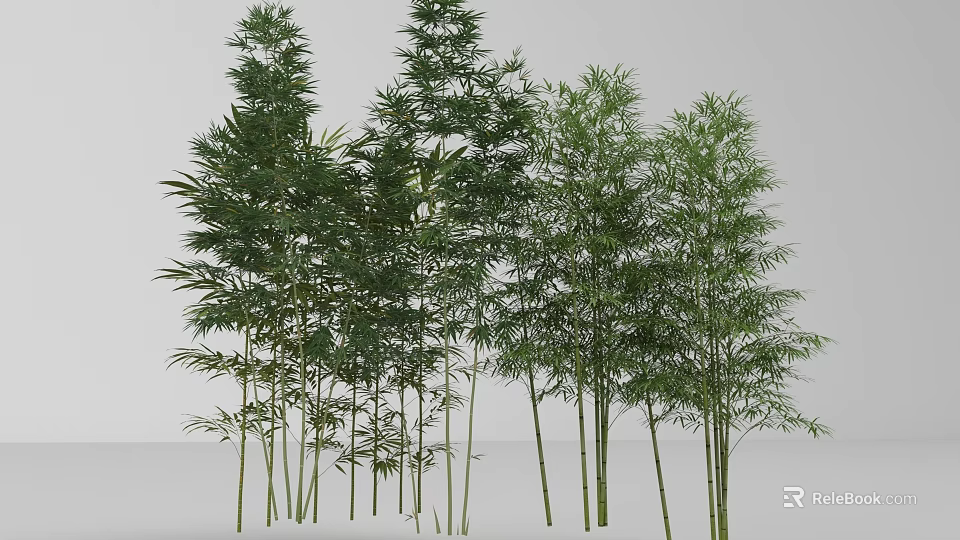 Tall Green Bamboo Plants With Lush Leaves In Natural Growth Arrangement 3d model 