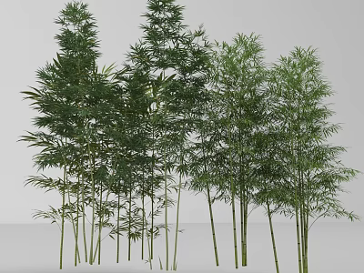 Tall Green Bamboo Plants With Lush Leaves In Natural Growth Arrangement 3d model