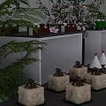 Modern Dessert Display With Green Confections White Cone Treats And Green Plants On Shelves