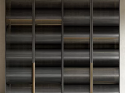 Modern Slatted Wardrobe Design With Brass Accents And Dark Matte Finish 3d model