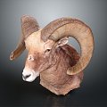 Modern Sheep Sheep Goat Lamb 3d model