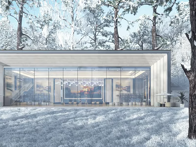 Modern House with Sleek Exterior and Large Glass Windows in Snowy Forest 3d model