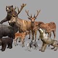 Modern Animals Forest Animals 3d model